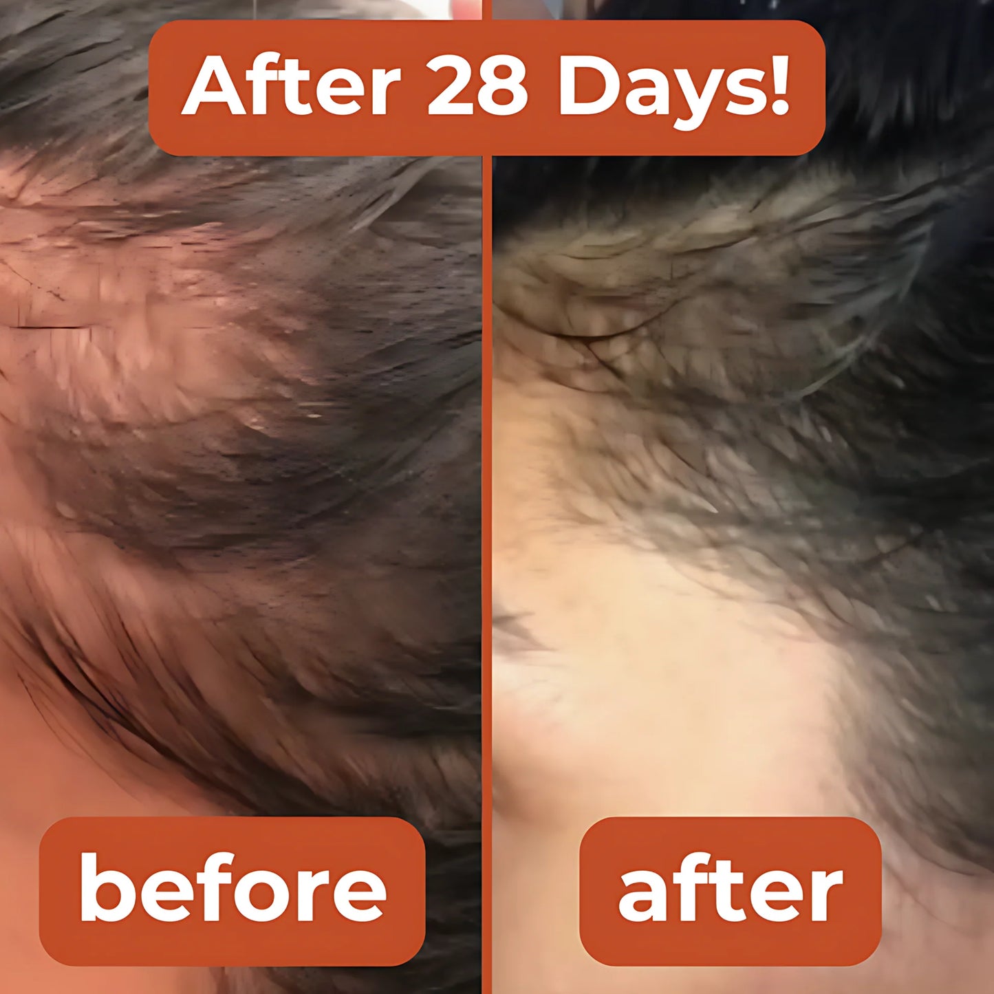 Naturls Pumpkin Seed Hair Volumizer