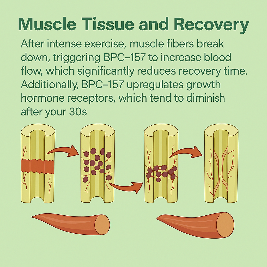 Naturls™ BPC-157 Rapid Repair